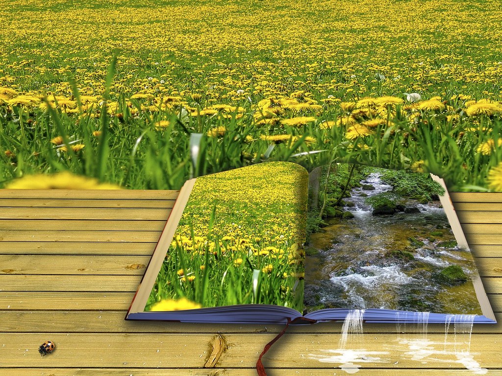 Ksiązka przedstawiająca obrazy przyrody na tle łąki z mleczami
